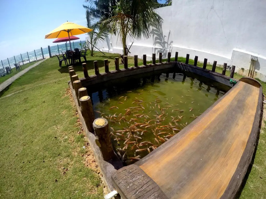 Отель Ramon Beach Resort