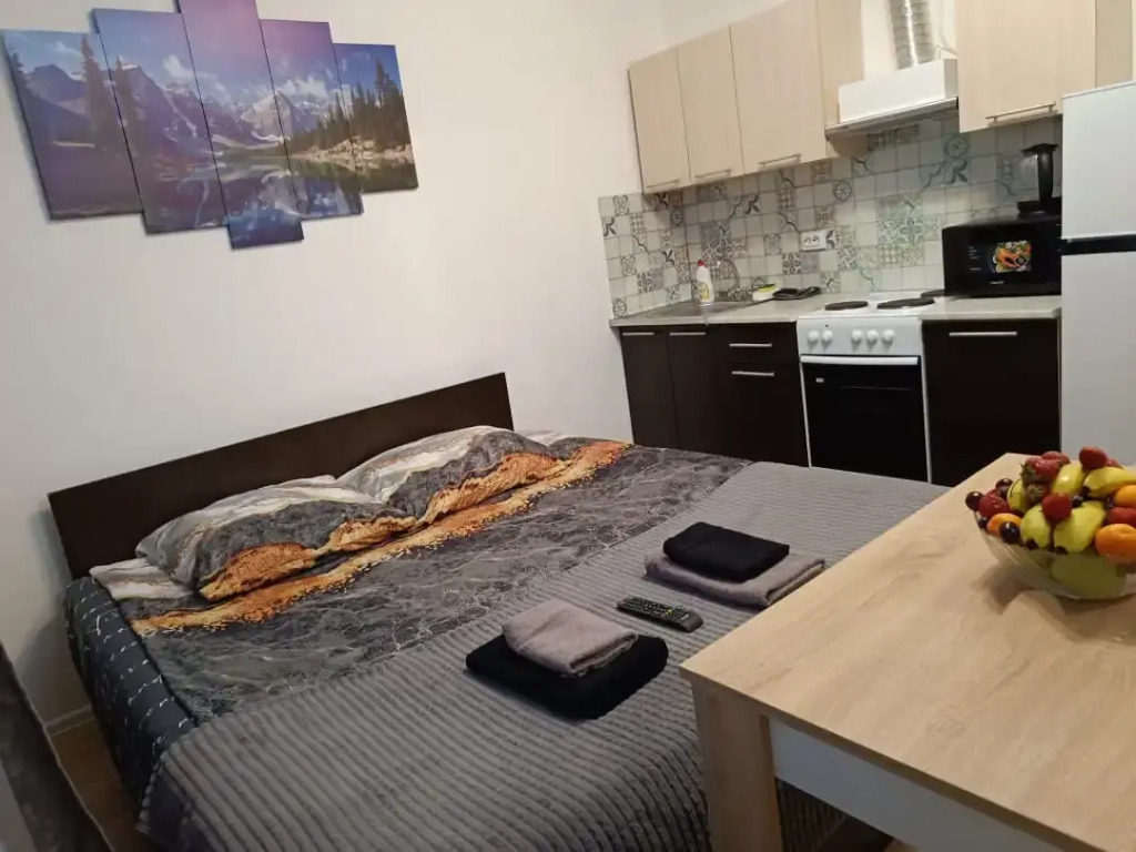 Квартира -студия 17,8 м²