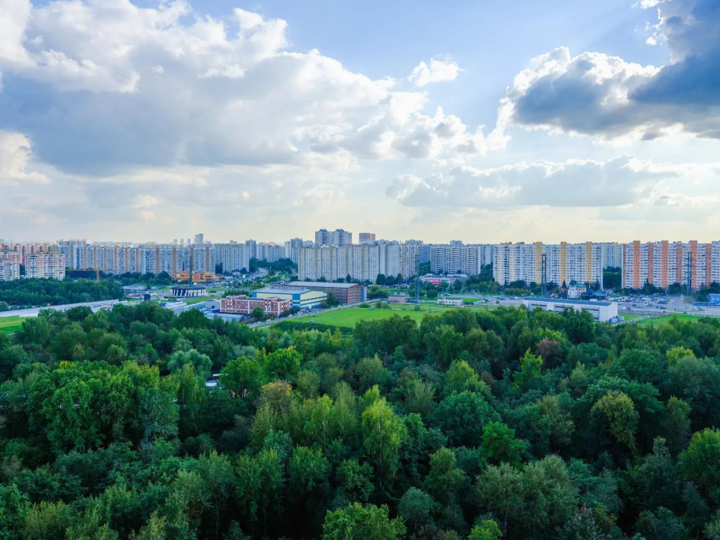 Квартира с видом на город и лес