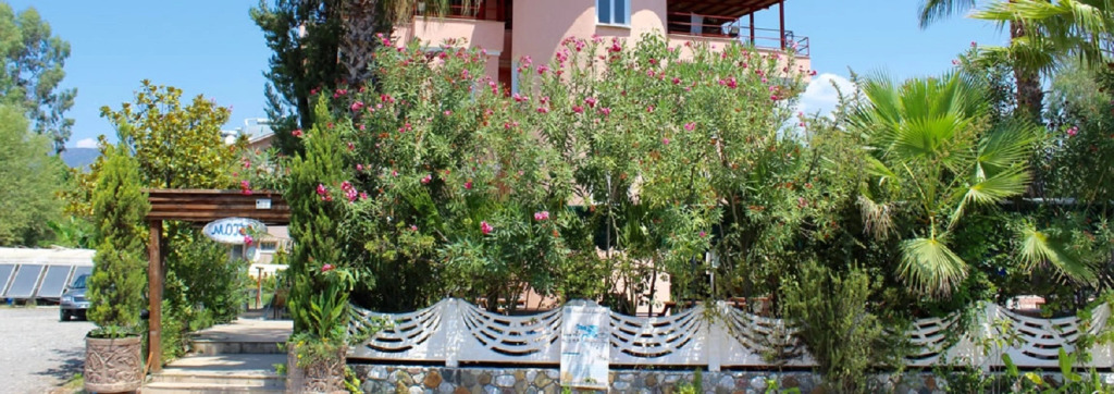 Tango Pension