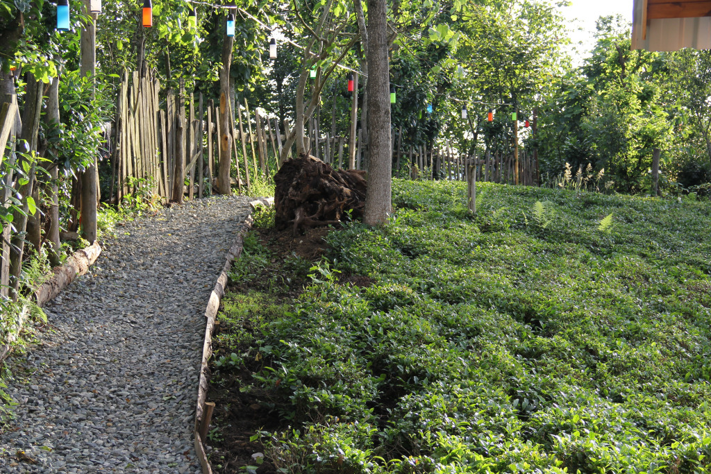 Glamping Bogina Dome & Suite
