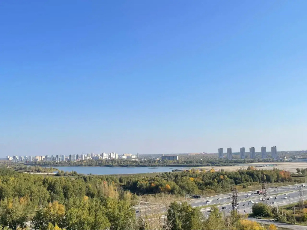 Квартира уютная двухкомнатная рядом с Гагаринским парком