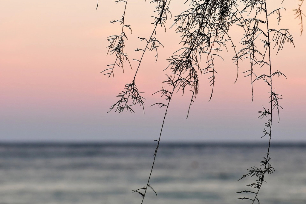 Отель Lito Beach
