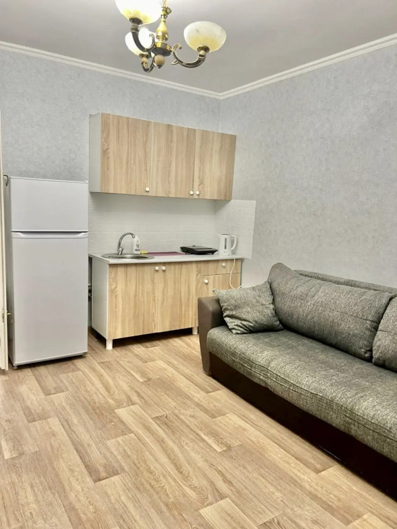 Апартаменты Адлер Чкалова д 42/1 № 10 Альфагид