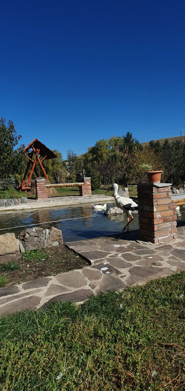 Отель Riverside Inn