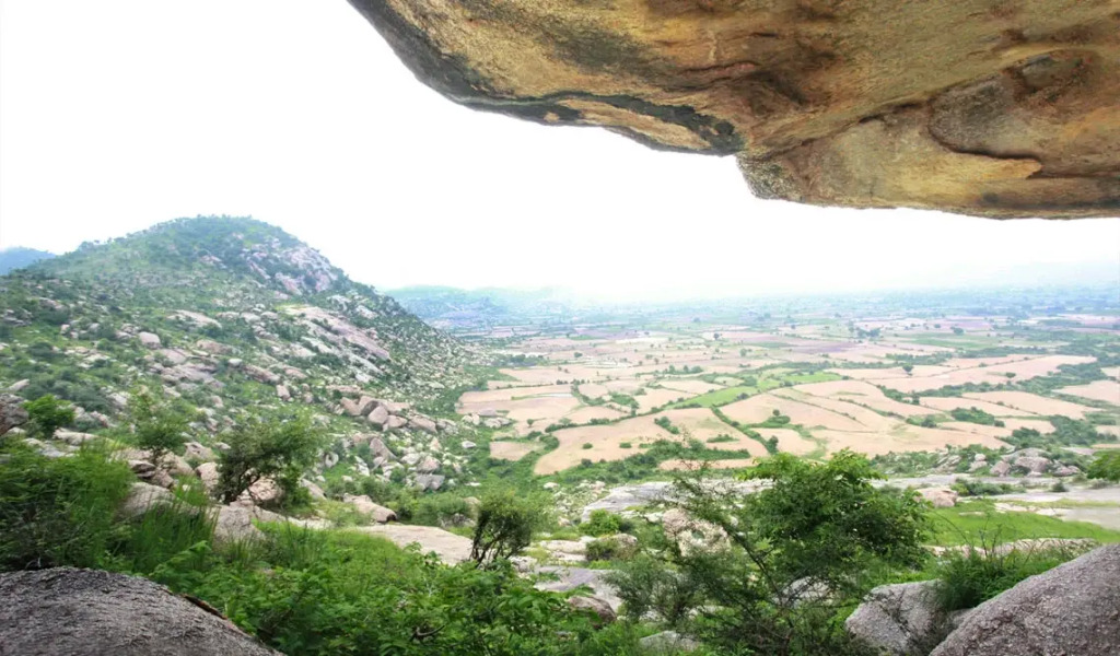 Fort Dadhikar, Alwar