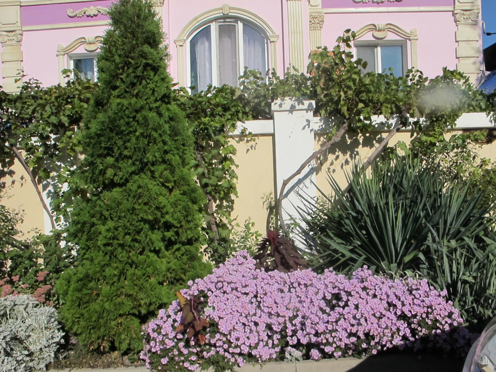 Morskaya Zvezda Guest House