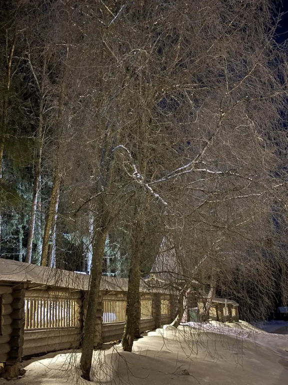 Времена Года