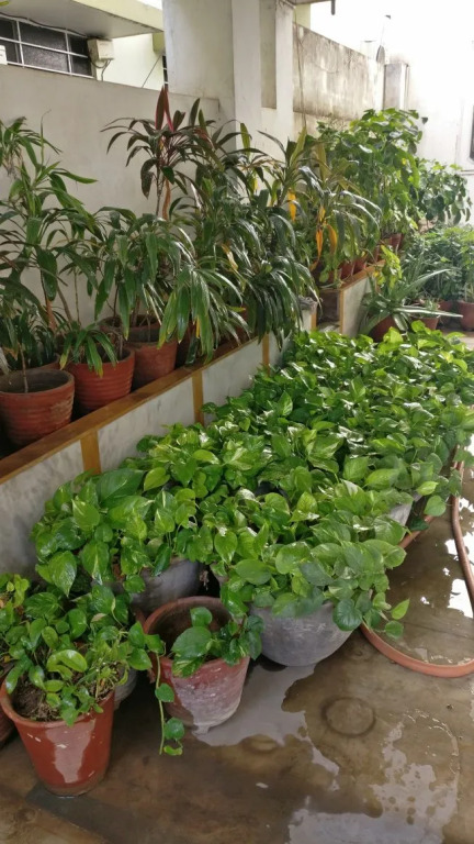 Abode Homestay