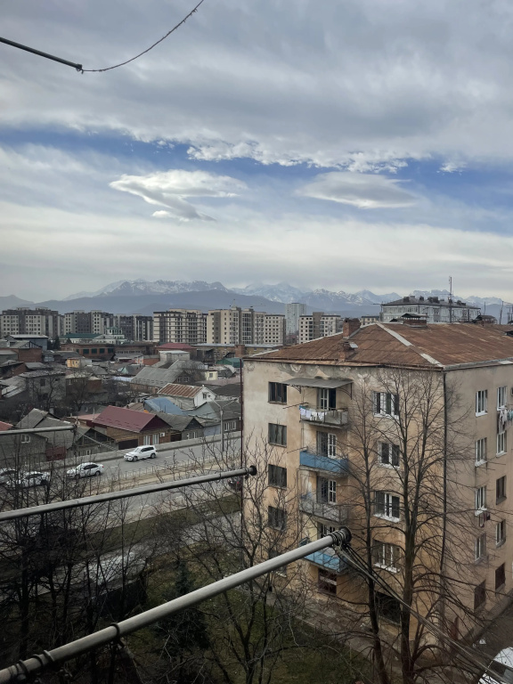 Квартира Просторная квартира на Чапаева