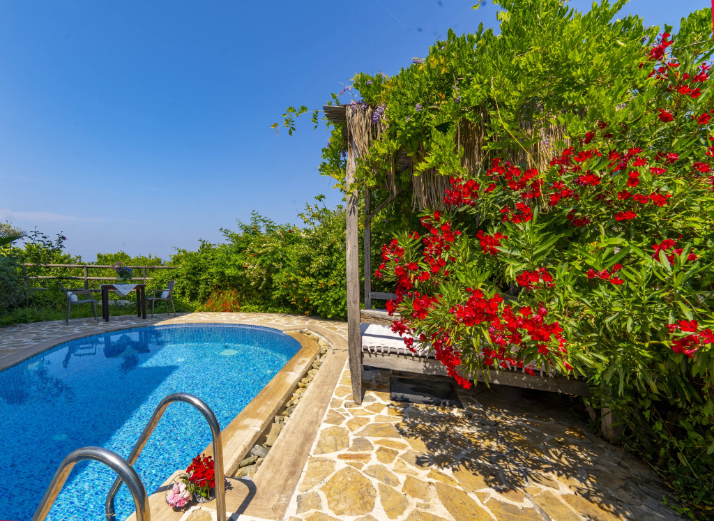 Отель Mandarin & Mango Boutique Hotel