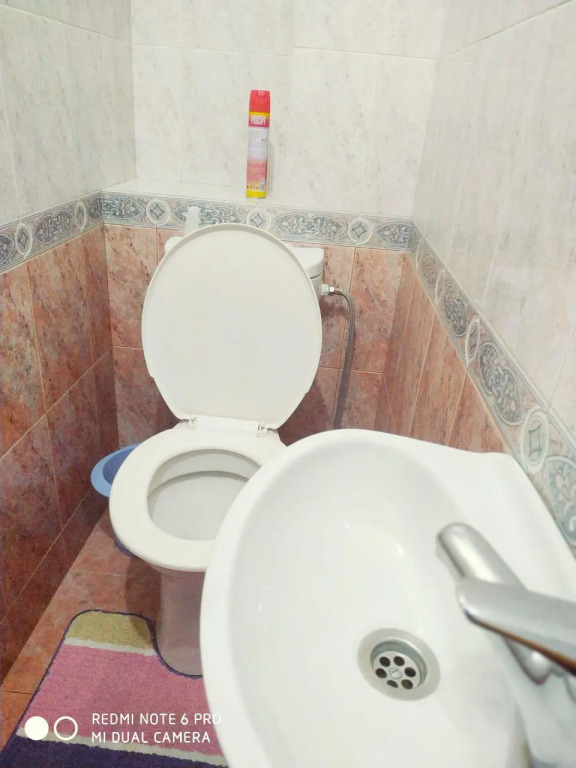 Central Tashkent Apartments