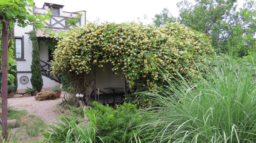 Guest House Yakor