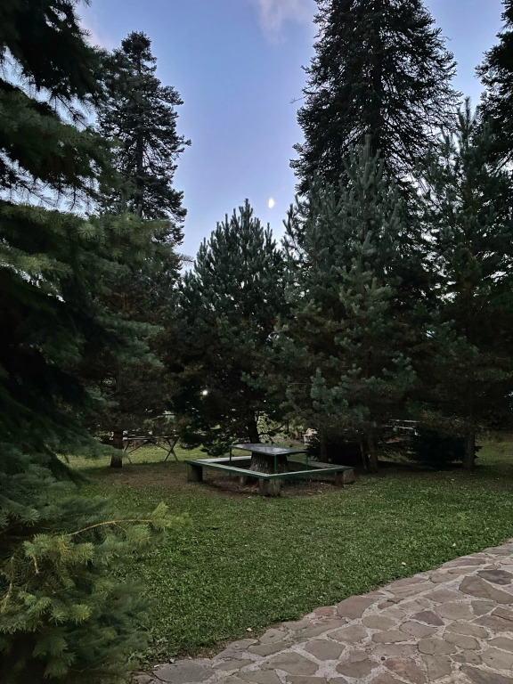 Банковская дача