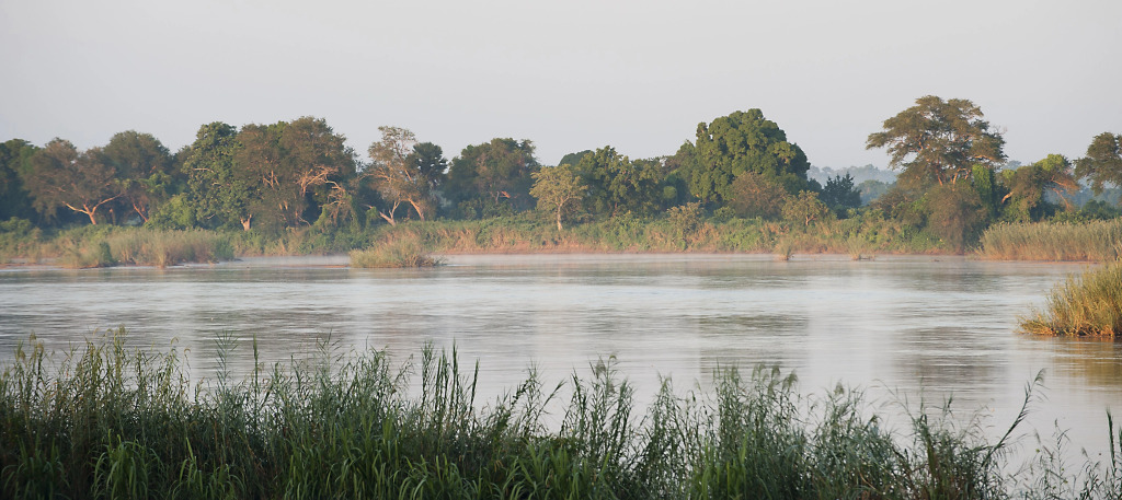 Отель Selous Kinga Lodge