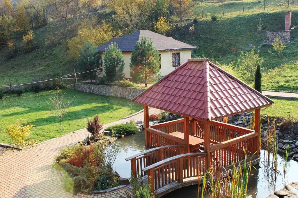 Svit Sontsya