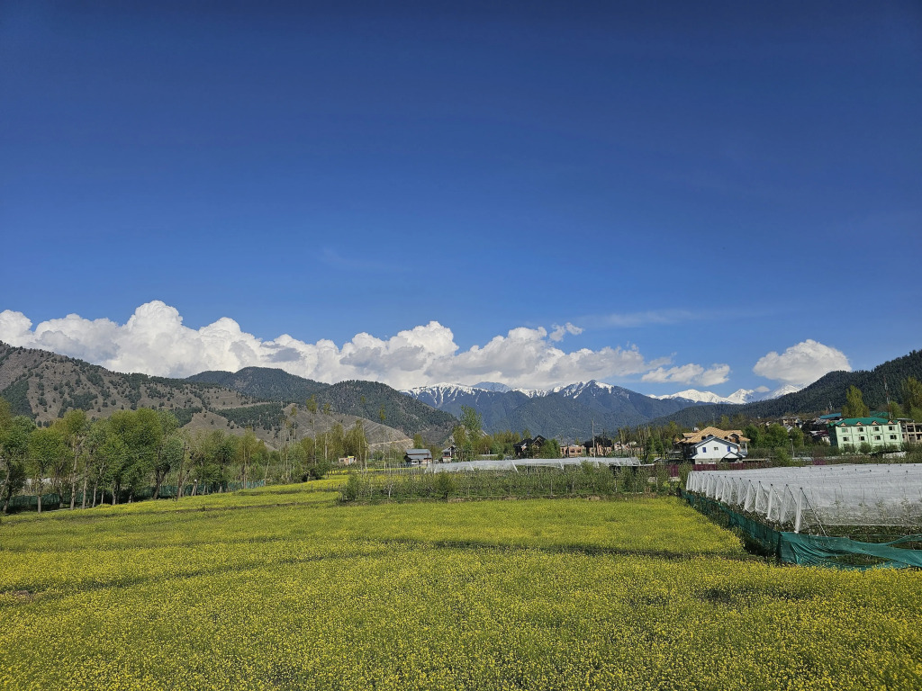 Отель Riverwood Kokernag
