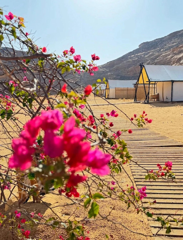 Отель 26 North Al Ula by Prime Hotels