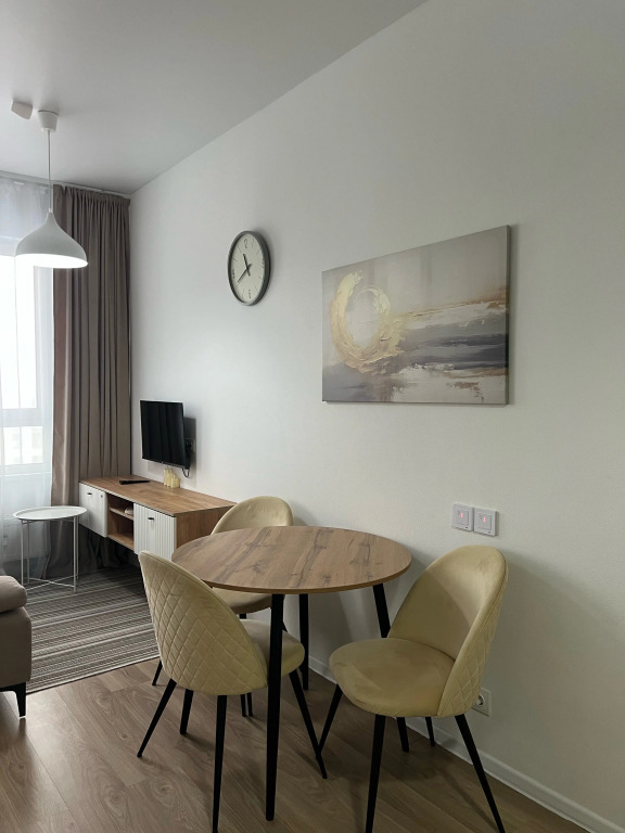 Studiya Skandi V Vidnom Flat