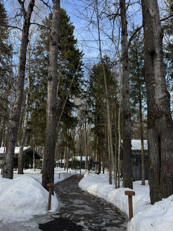 Отель Mistyland
