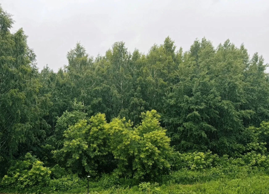 Квартира на улице имени Репина 35А/1