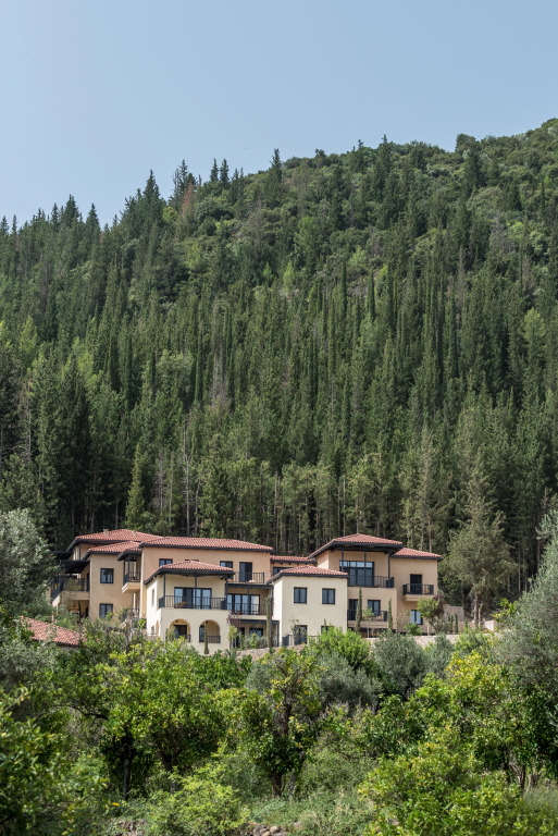 Euphoria Retreat - A Holistic Wellbeing Destination Spa
