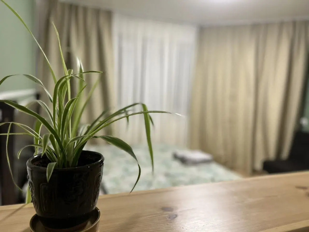 Квартира на Курыжова 32