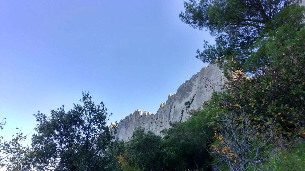 Гостевой Дом Mas de Cocagne en Provence