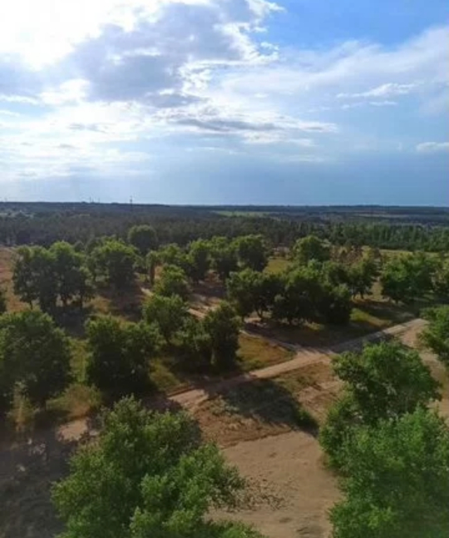 Квартира в Янтарном городе