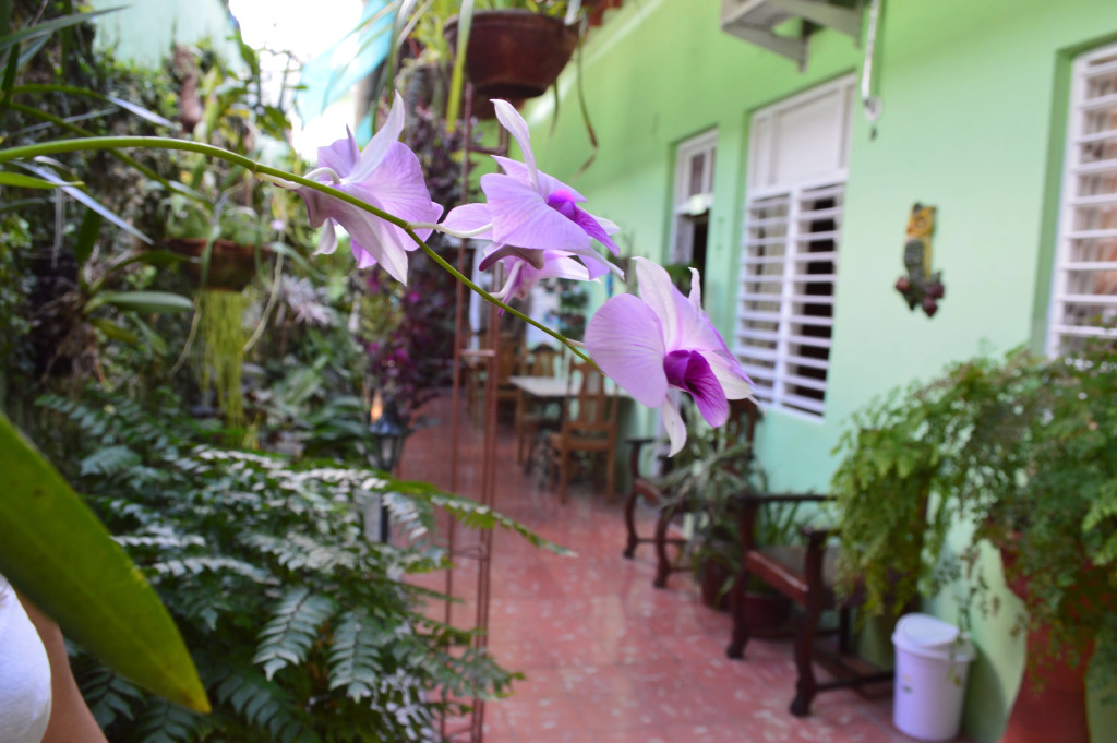 Хостел D´avila Casa Verde