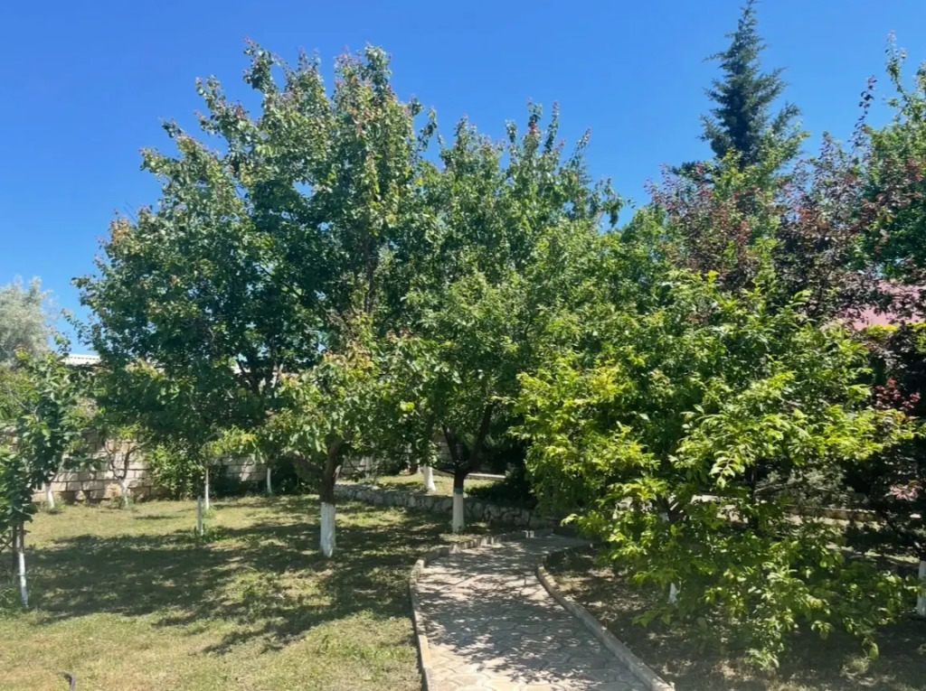 Константа