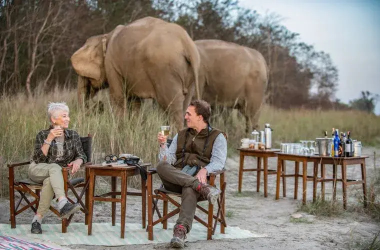 Tigertops Elephant Camp Camping