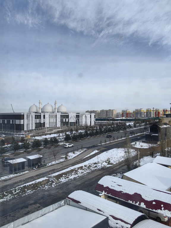 Отель Шымкент Парк Отель