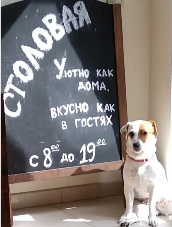 Отель Робинзон