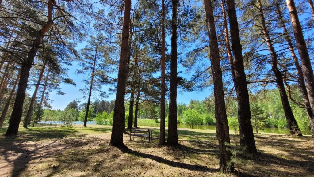 База отдыха Vonavi Village
