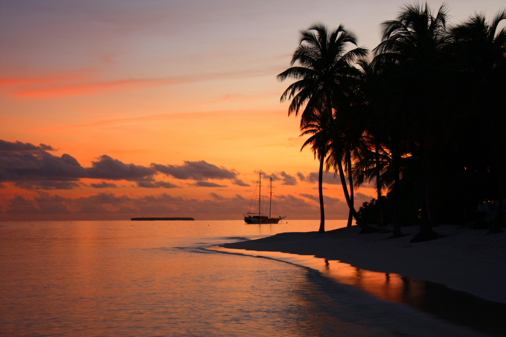 Отель V Villas Maldives at Mirihi - MGallery Collection