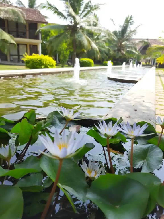 Отель The Villas Wadduwa