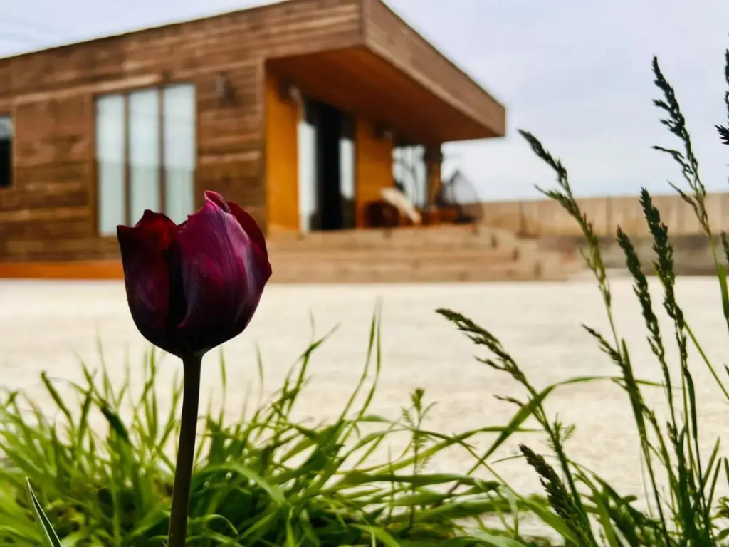 Вилла Eco house villa jeo
