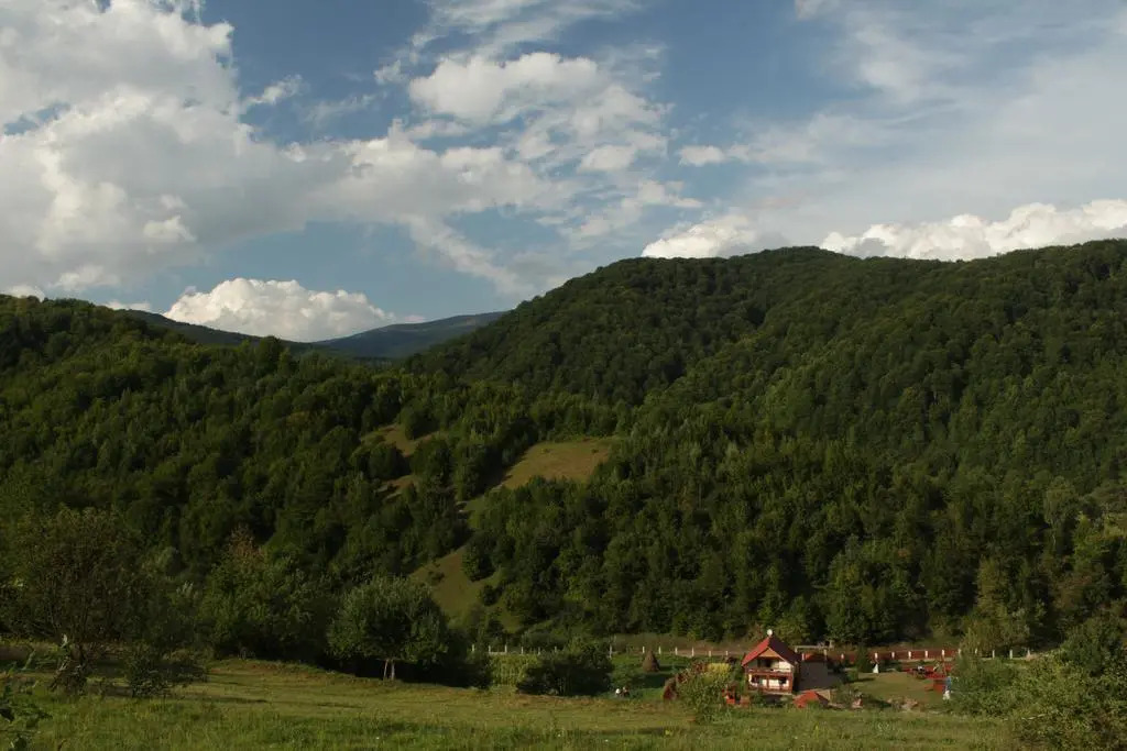 Svit Sontsya