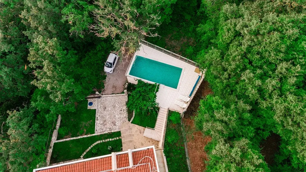 Delphinium Villa