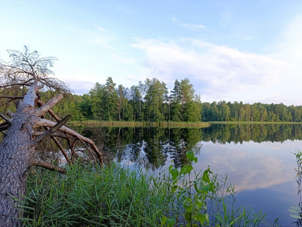 Глэмпинг Жарынка