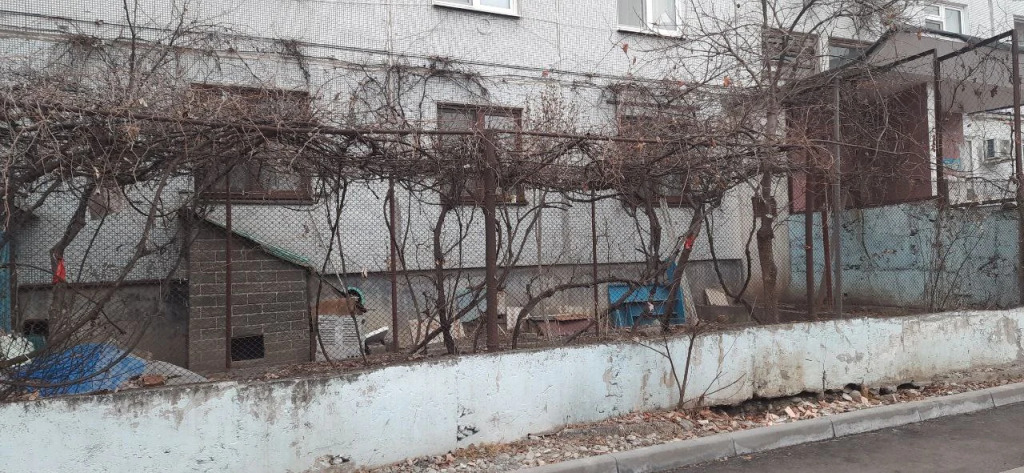 Квартира Уютная Квартира в Районе Автовокзала