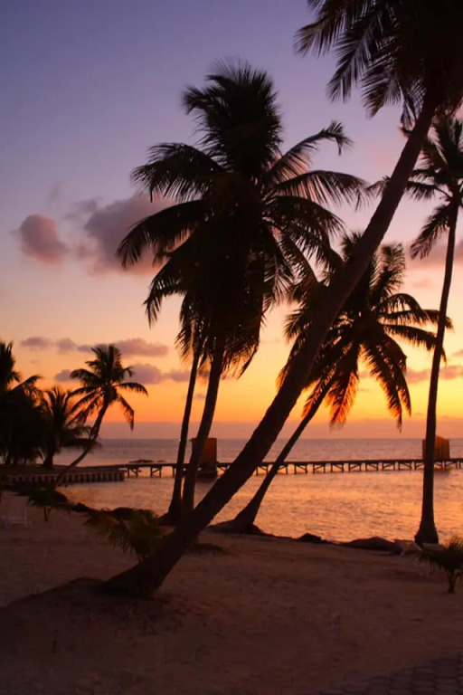 Royal Caribbean Resort