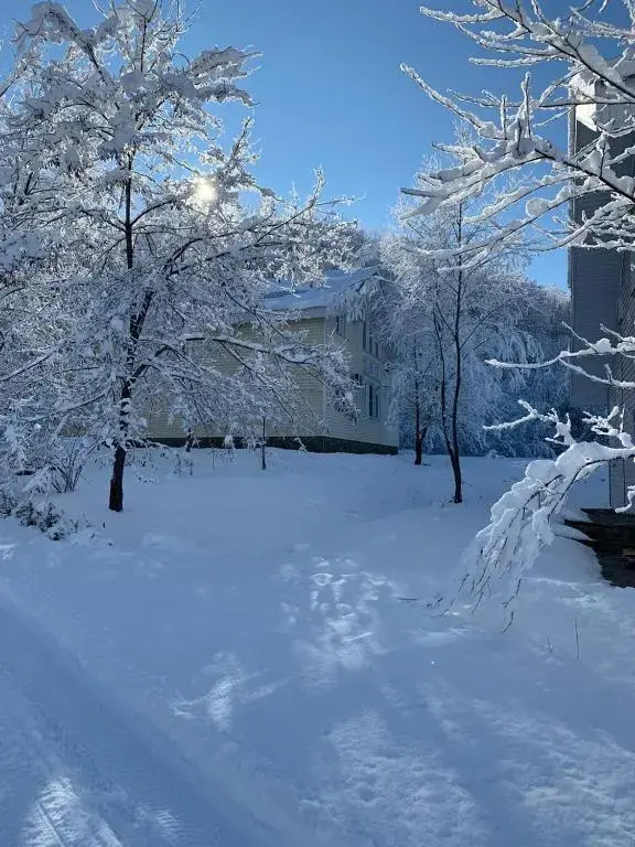 Шале Золотой родник