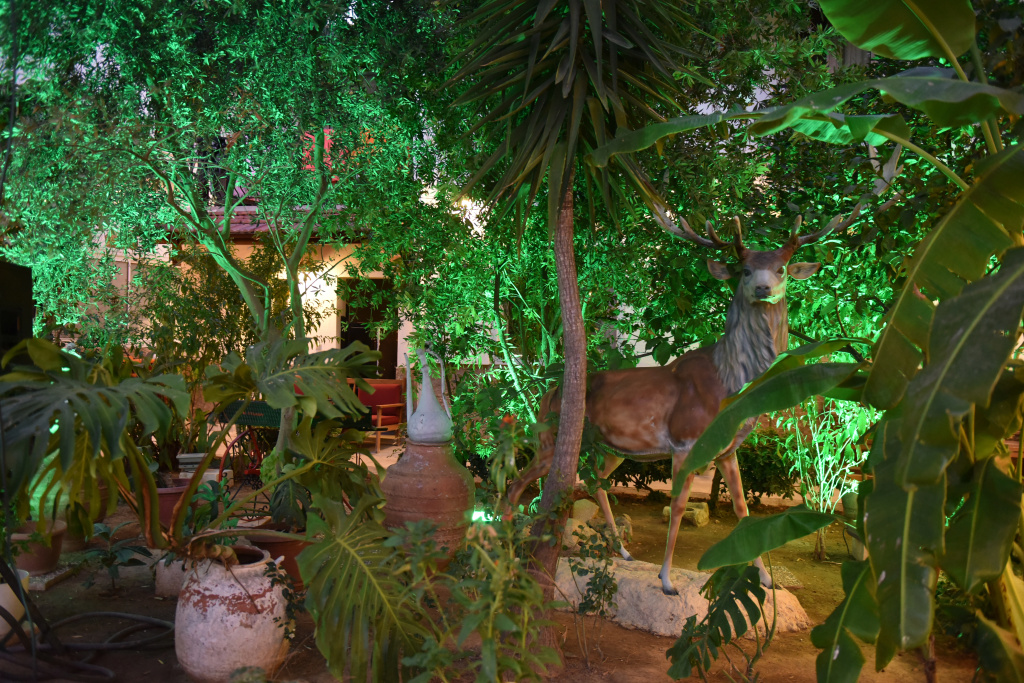 Istankoy Hotel