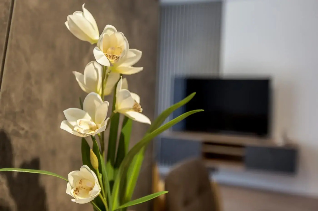 Апартаменты Grand Apart Velit