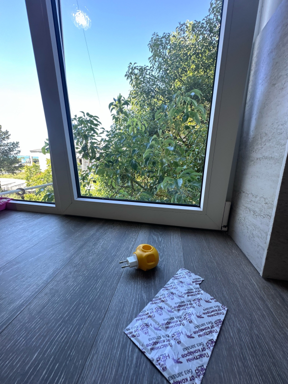 Matiss S Vidom na More Apartment