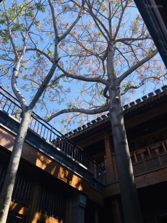 Отель Manxin Mansion Beijing Qianmen Courtyard