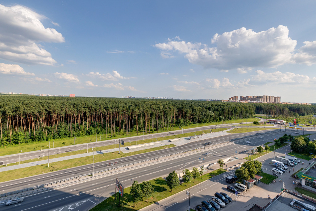 Na Borovskom Shosse 46 Flat