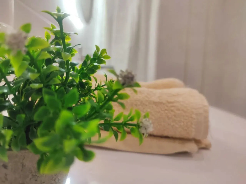 Апартаменты  White Lodging